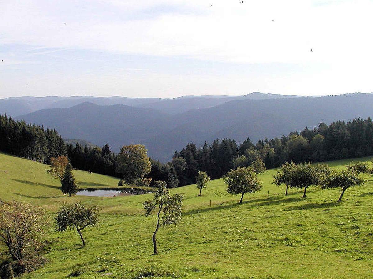 Schanzenberghof Hornberg Zewnętrze zdjęcie